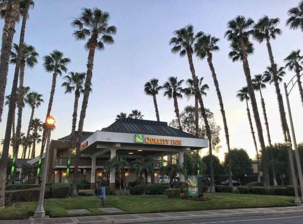 Quality Near Ucr And Downtown Pensão Riverside